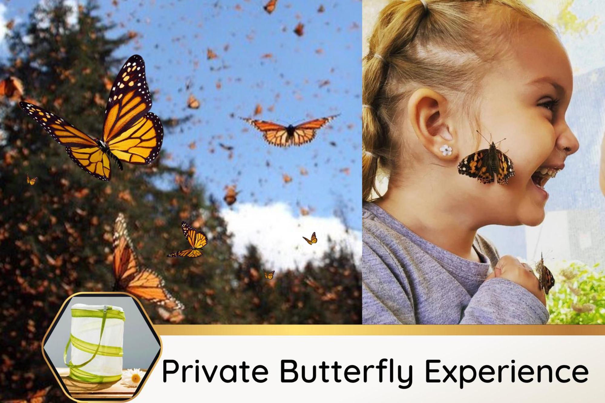 Butterfly Themed Kings Apartment With Private Garage & Access To Lux Hot Tub, Bbq & Gym جنوب جوردان المظهر الخارجي الصورة